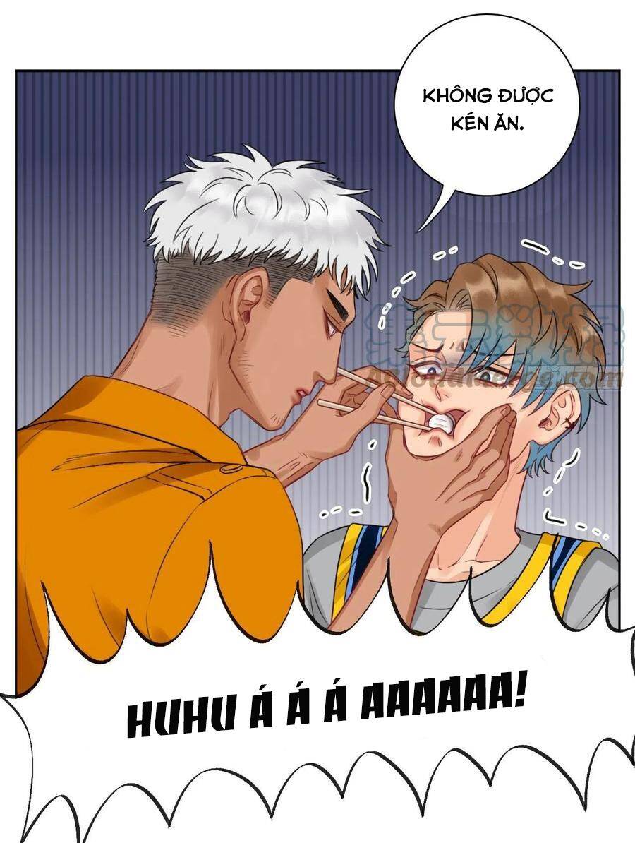 Ký Túc Xá Nam Phòng 303 - Chapter 54