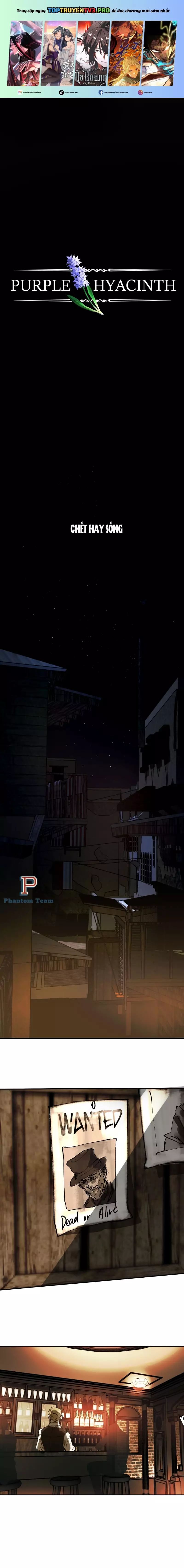 Hoa Lục Bình Tím - Chapter 5