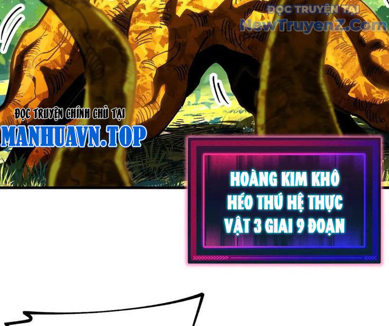 Toàn Cầu Ngự Thú: Ta Có Thể Thấy Lộ Tuyến Tiến Hoá - Chapter 23