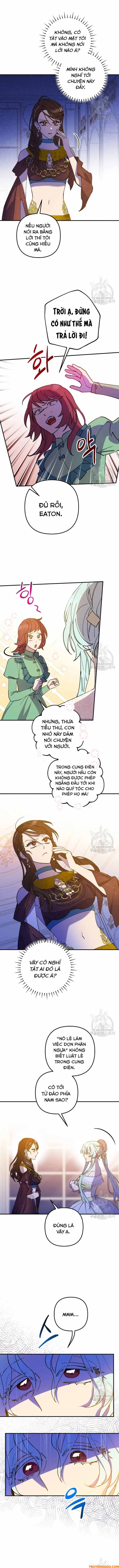 Your Majesty, Please Stop Now - Chapter 13