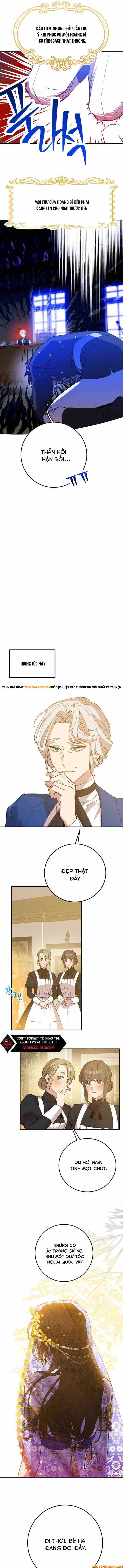 Your Majesty, Please Stop Now - Chapter 5