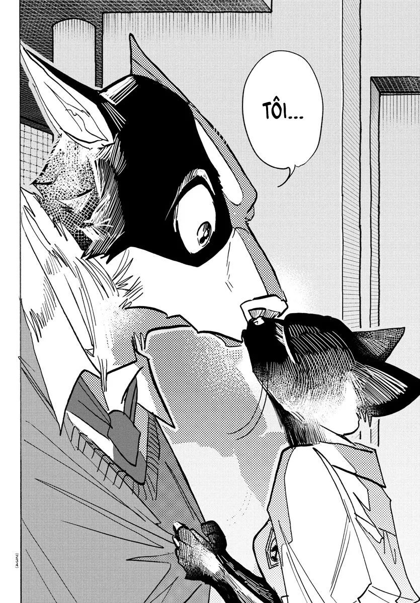 Lý Trí Của Taika - Chapter 11