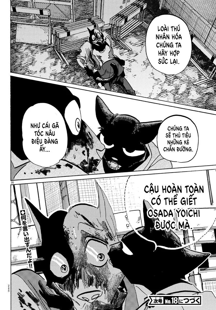 Lý Trí Của Taika - Chapter 11