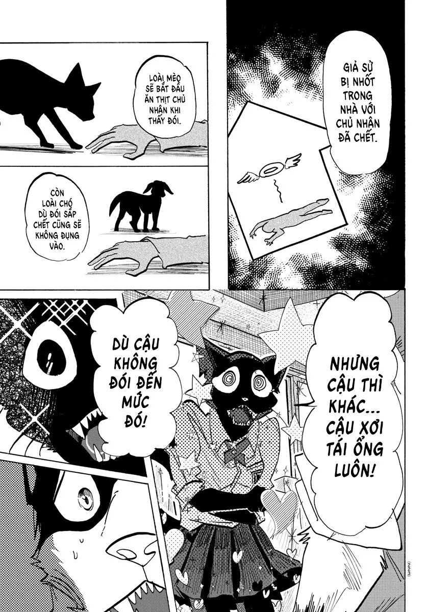 Lý Trí Của Taika - Chapter 11
