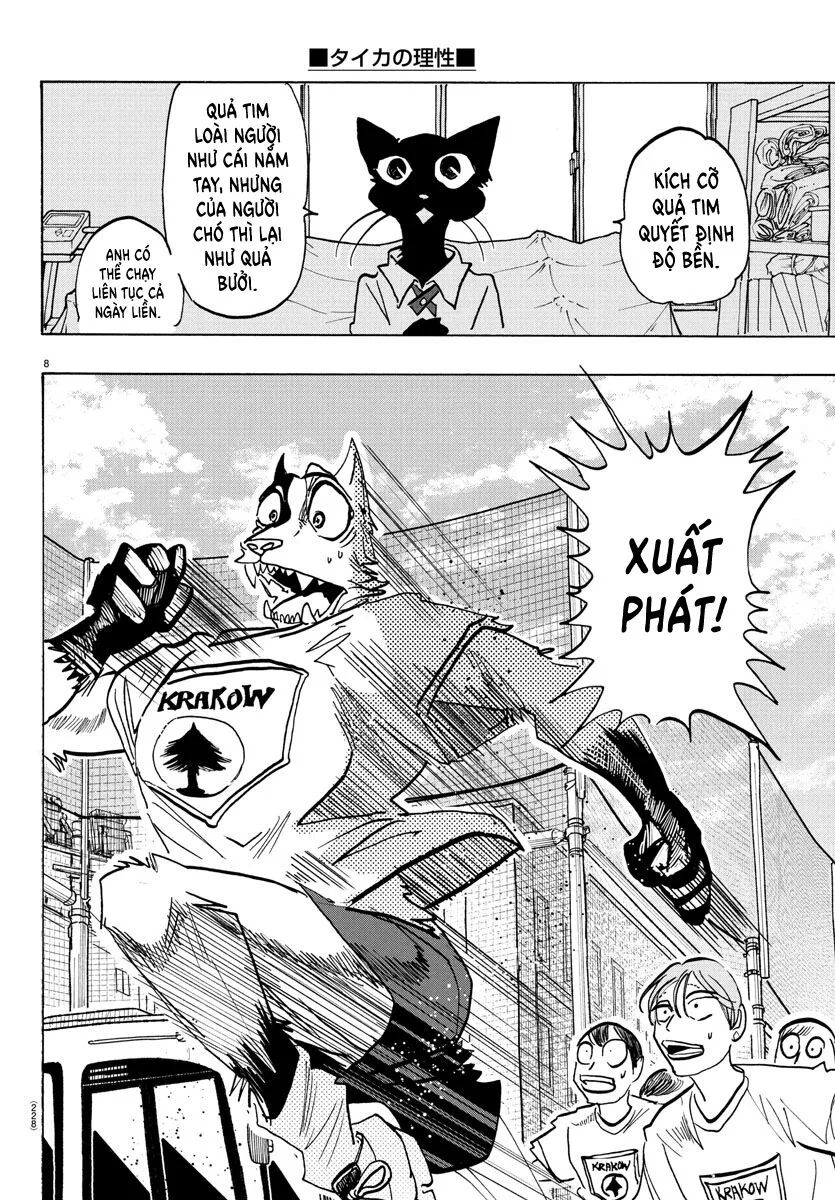 Lý Trí Của Taika - Chapter 11