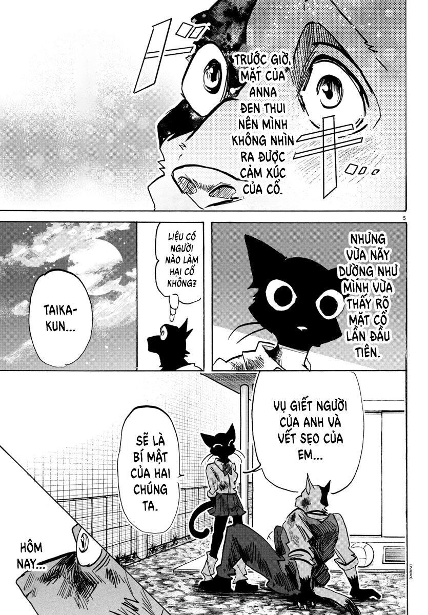 Lý Trí Của Taika - Chapter 12