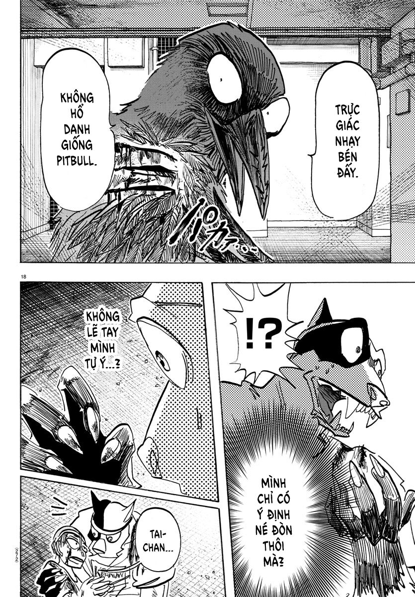 Lý Trí Của Taika - Chapter 14