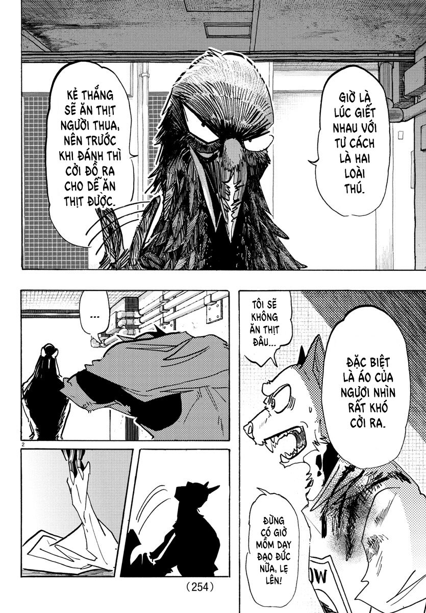Lý Trí Của Taika - Chapter 15