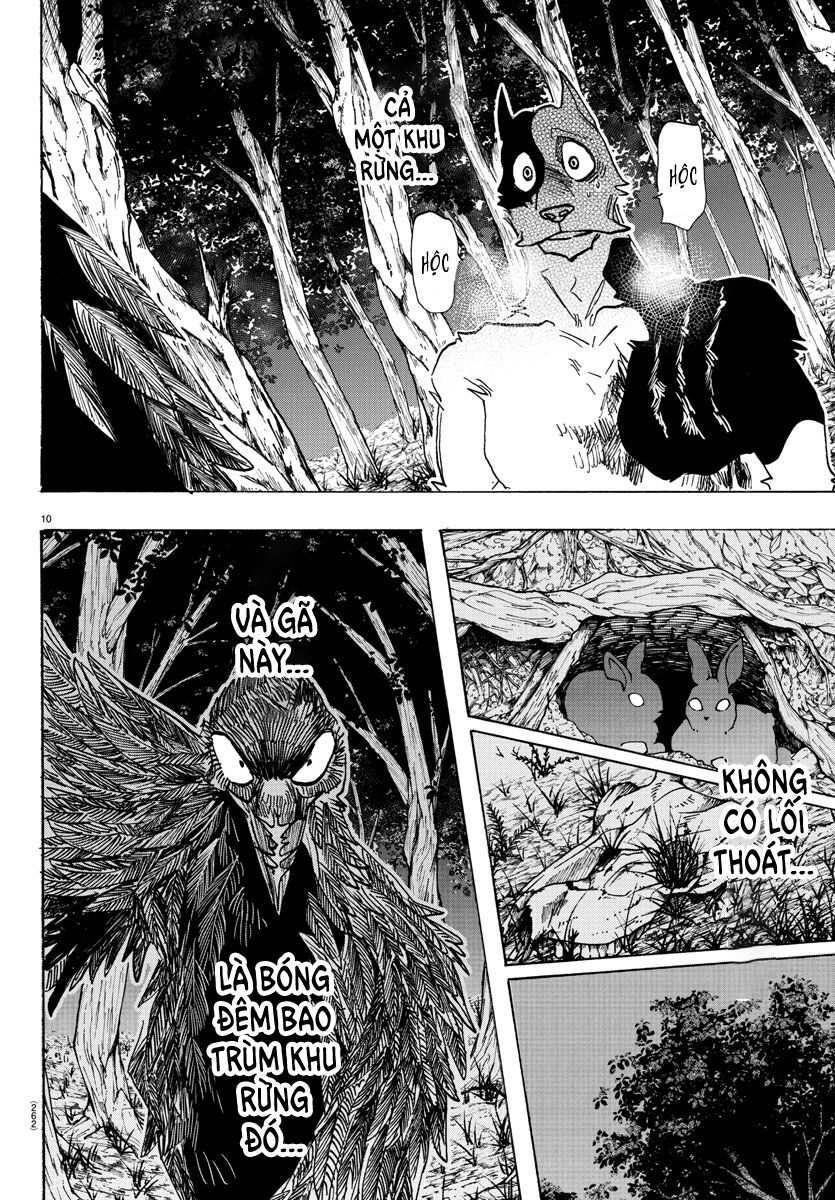 Lý Trí Của Taika - Chapter 15