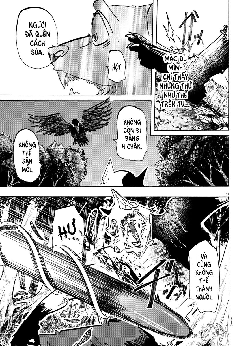 Lý Trí Của Taika - Chapter 15