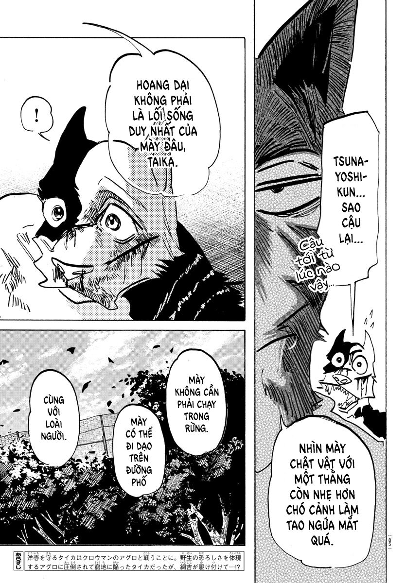 Lý Trí Của Taika - Chapter 16
