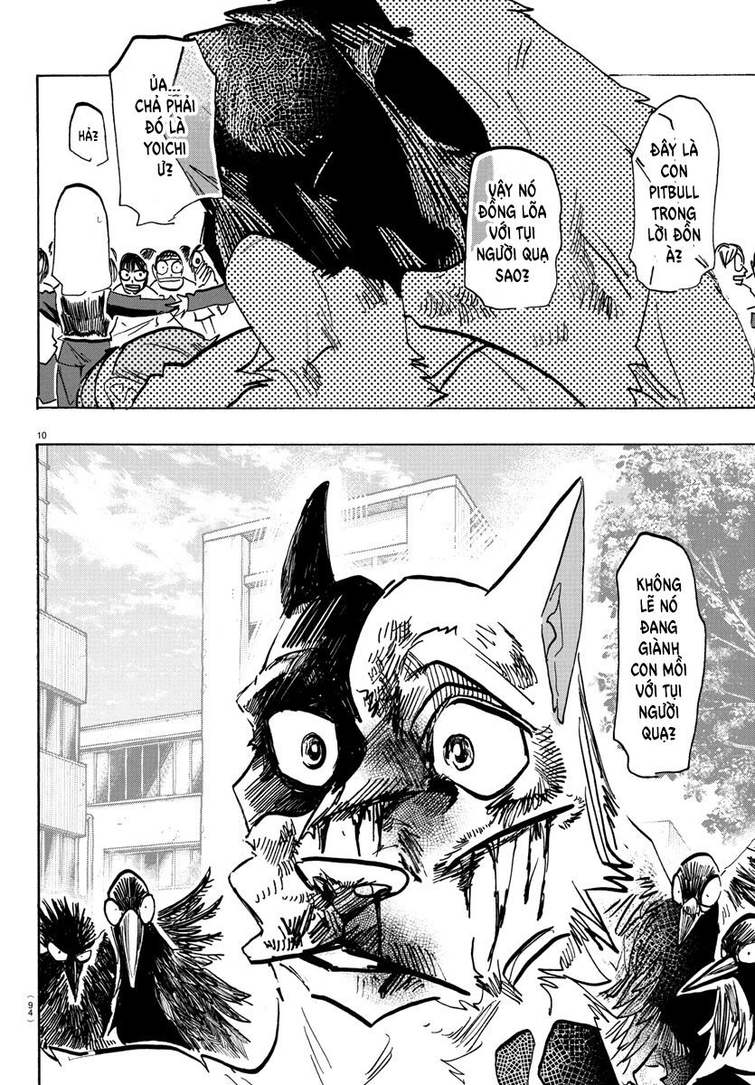 Lý Trí Của Taika - Chapter 16