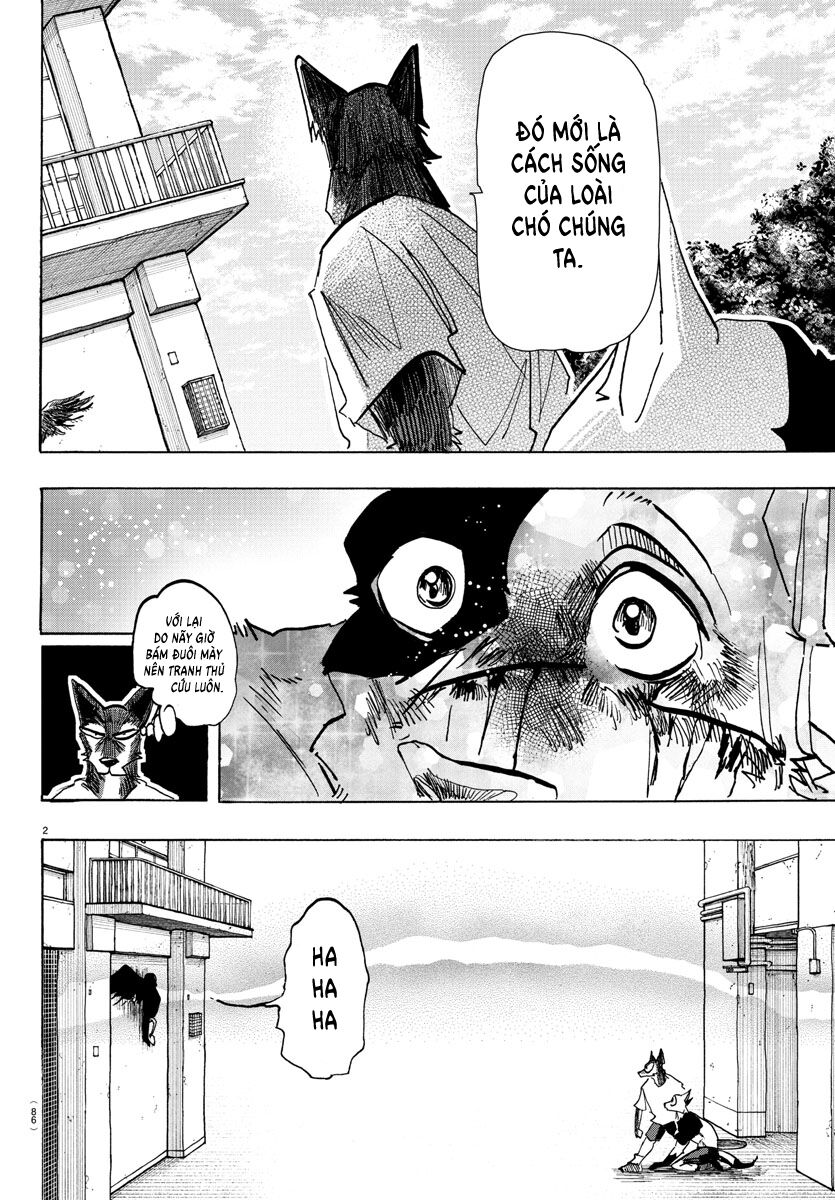 Lý Trí Của Taika - Chapter 16