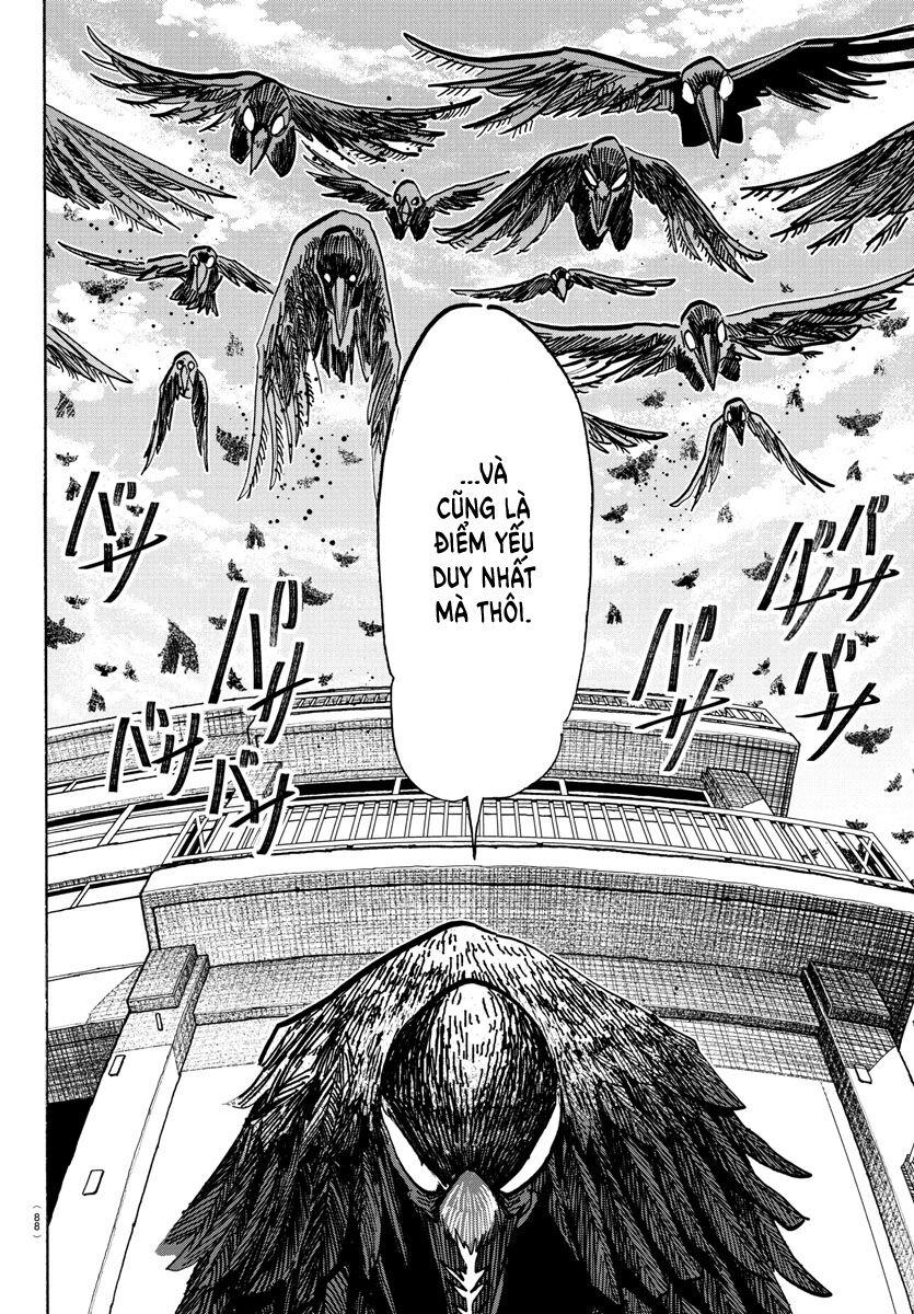 Lý Trí Của Taika - Chapter 16