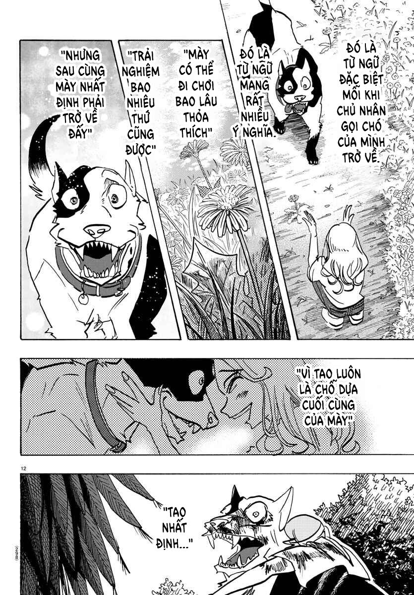 Lý Trí Của Taika - Chapter 17