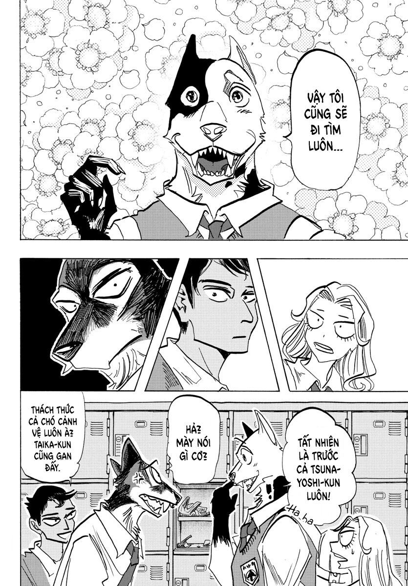 Lý Trí Của Taika - Chapter 4