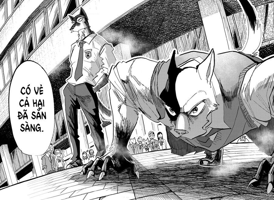 Lý Trí Của Taika - Chapter 4