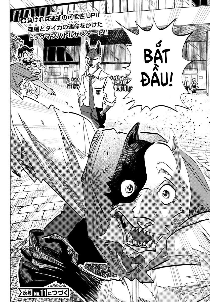 Lý Trí Của Taika - Chapter 4