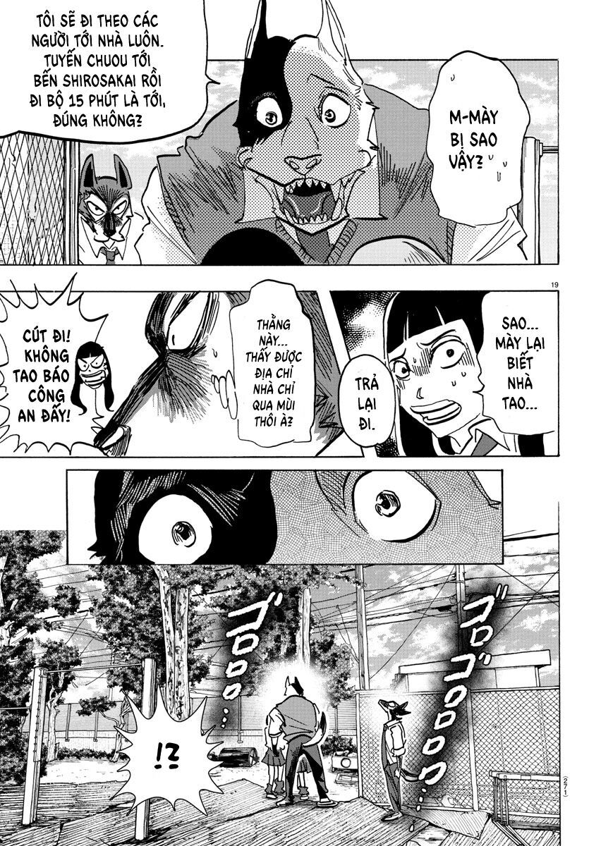 Lý Trí Của Taika - Chapter 5