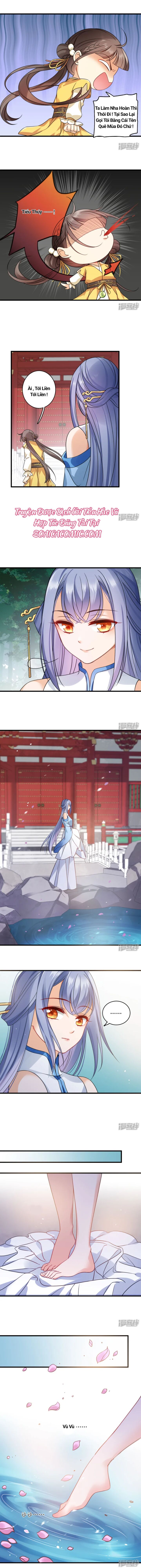 Nụ Cười Của Nàng Ngọt Làm Gãy 8 Cái Răng Của Ta - Chapter 12