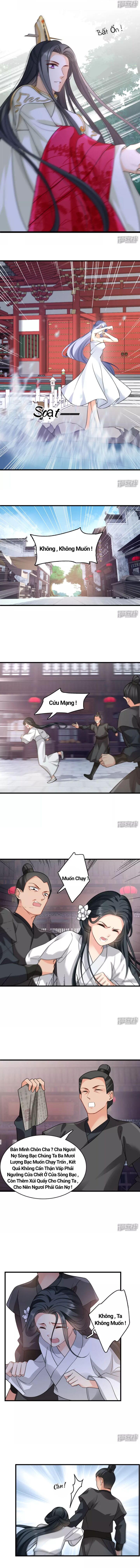 Nụ Cười Của Nàng Ngọt Làm Gãy 8 Cái Răng Của Ta - Chapter 14