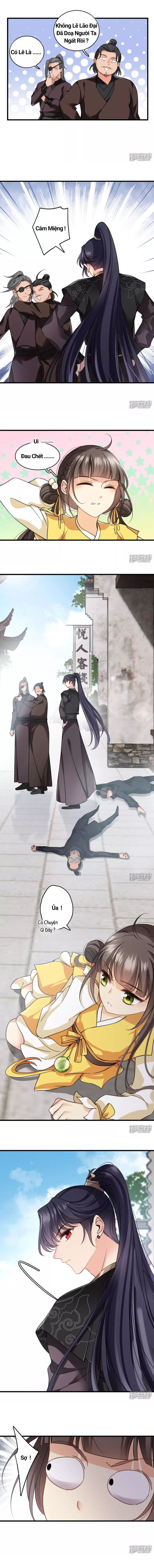 Nụ Cười Của Nàng Ngọt Làm Gãy 8 Cái Răng Của Ta - Chapter 17