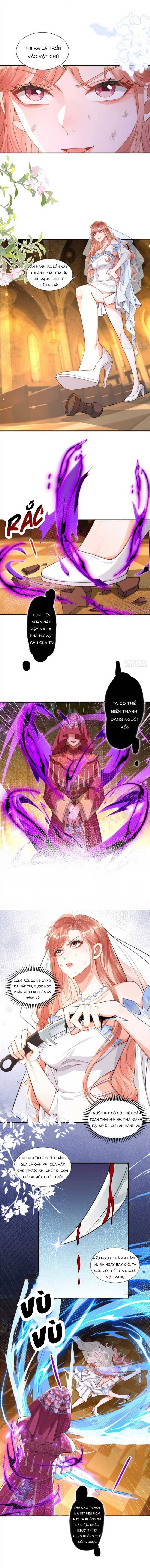 Cô Vợ Nhỏ Cứ Thích Phá Vỡ Hình Tượng - Chapter 6