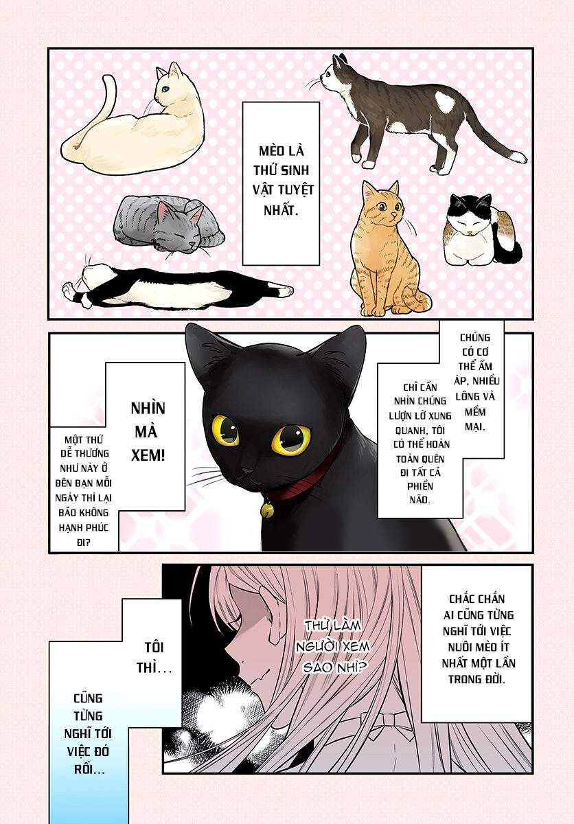 Mii-Chan Muốn Được Nhận Nuôi! - Chapter 1