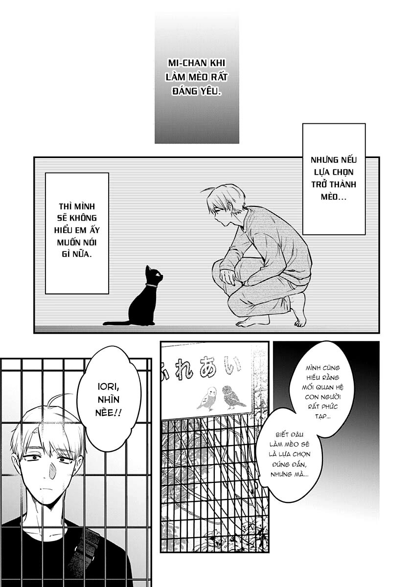 Mii-Chan Muốn Được Nhận Nuôi! - Chapter 16