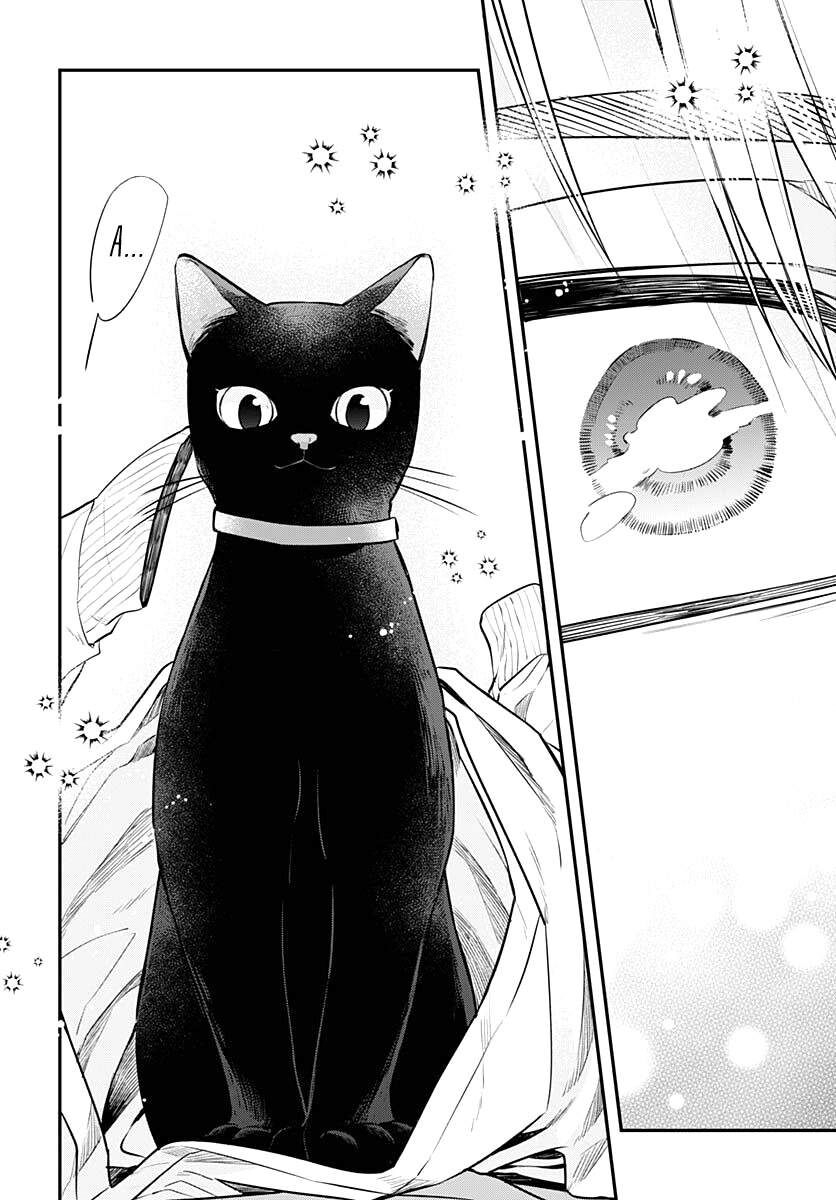 Mii-Chan Muốn Được Nhận Nuôi! - Chapter 2
