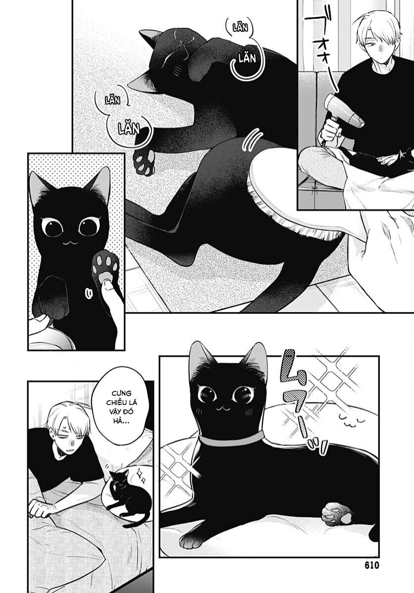 Mii-Chan Muốn Được Nhận Nuôi! - Chapter 20