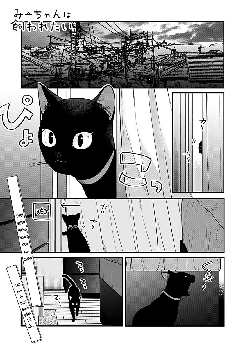 Mii-Chan Muốn Được Nhận Nuôi! - Chapter 4