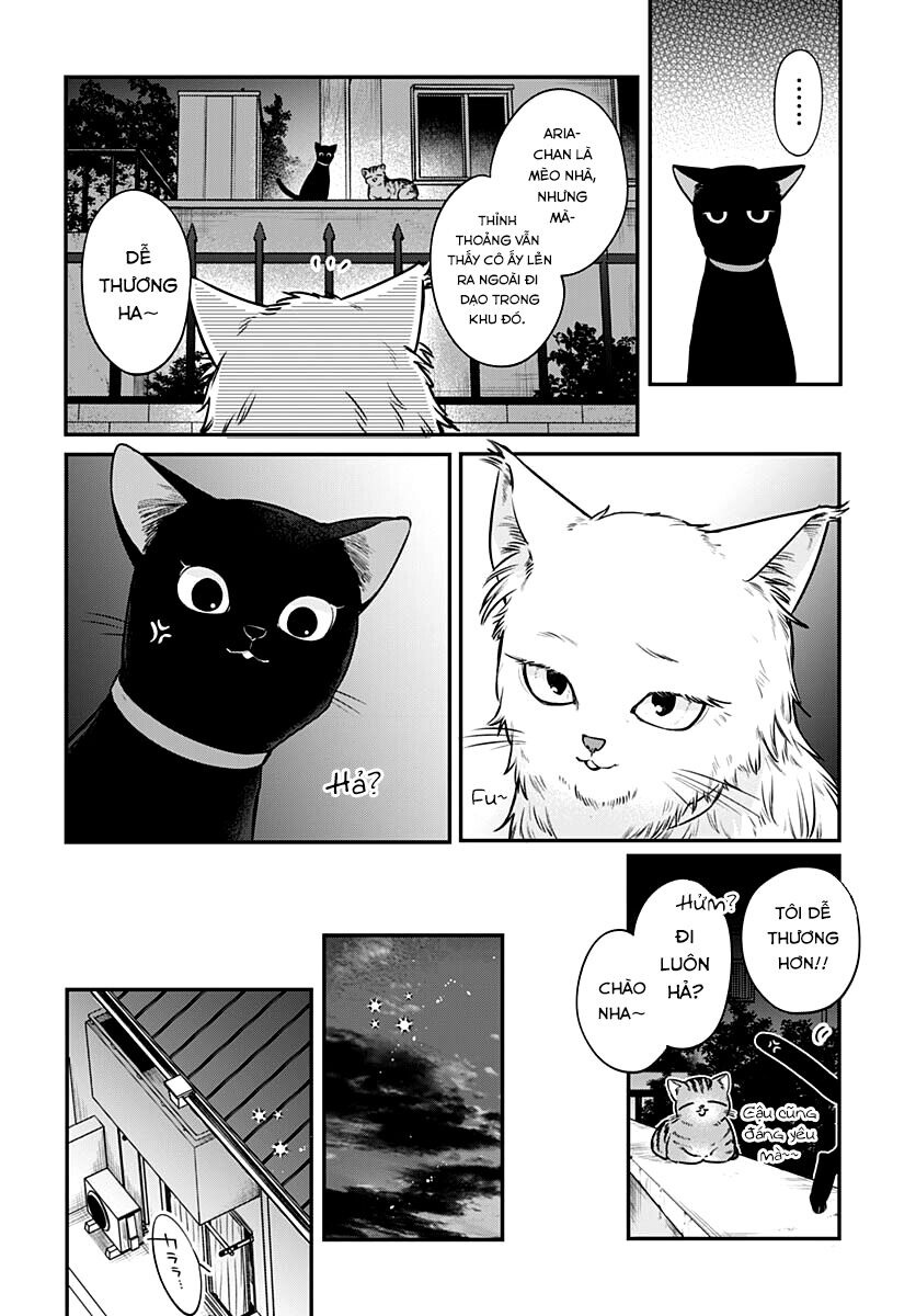 Mii-Chan Muốn Được Nhận Nuôi! - Chapter 5