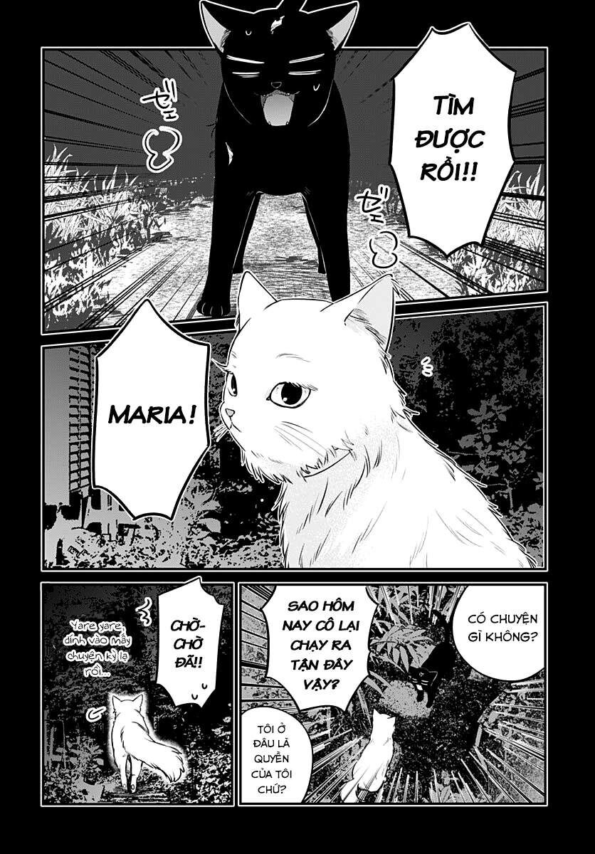 Mii-Chan Muốn Được Nhận Nuôi! - Chapter 6