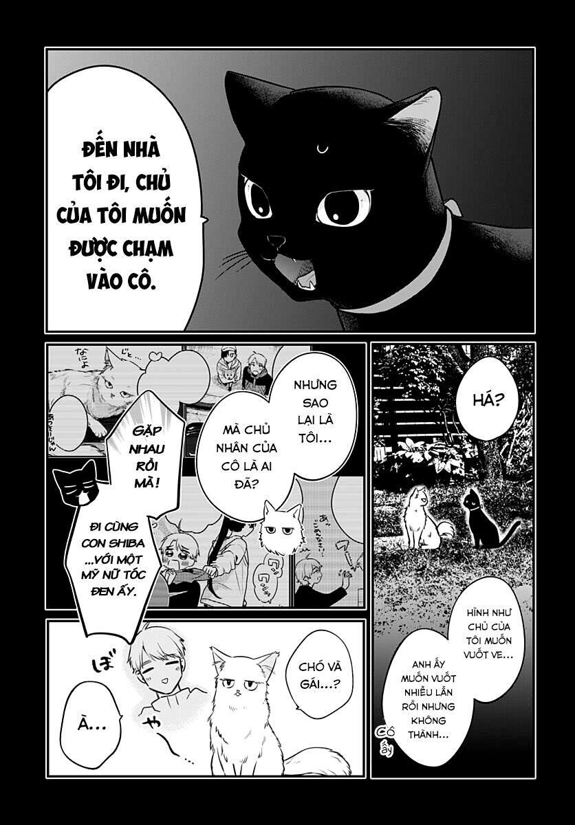 Mii-Chan Muốn Được Nhận Nuôi! - Chapter 6