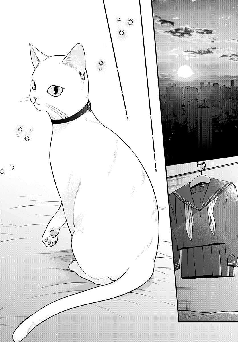 Mii-Chan Muốn Được Nhận Nuôi! - Chapter 8