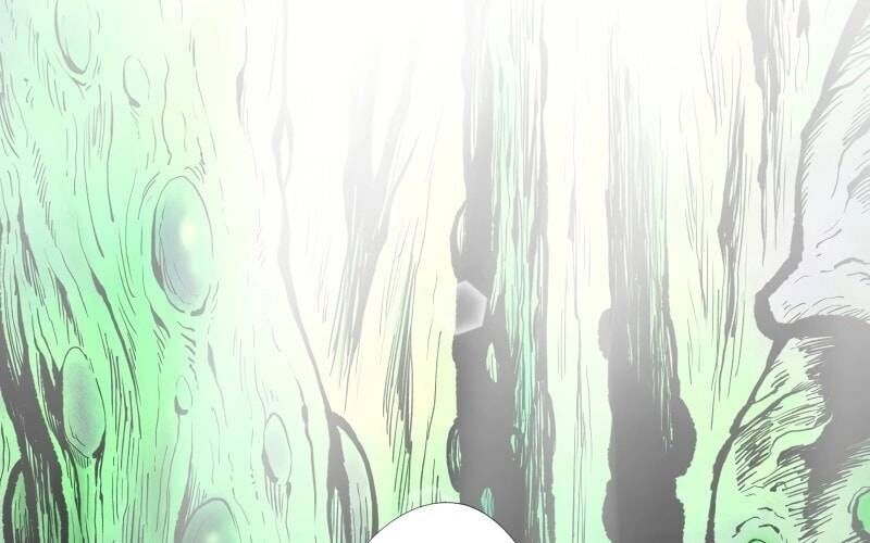 Ninja Tái Sinh : Hành Trình Của Fuuma Kotarou Để Lấy Lại Nhân Tính - Chapter 4