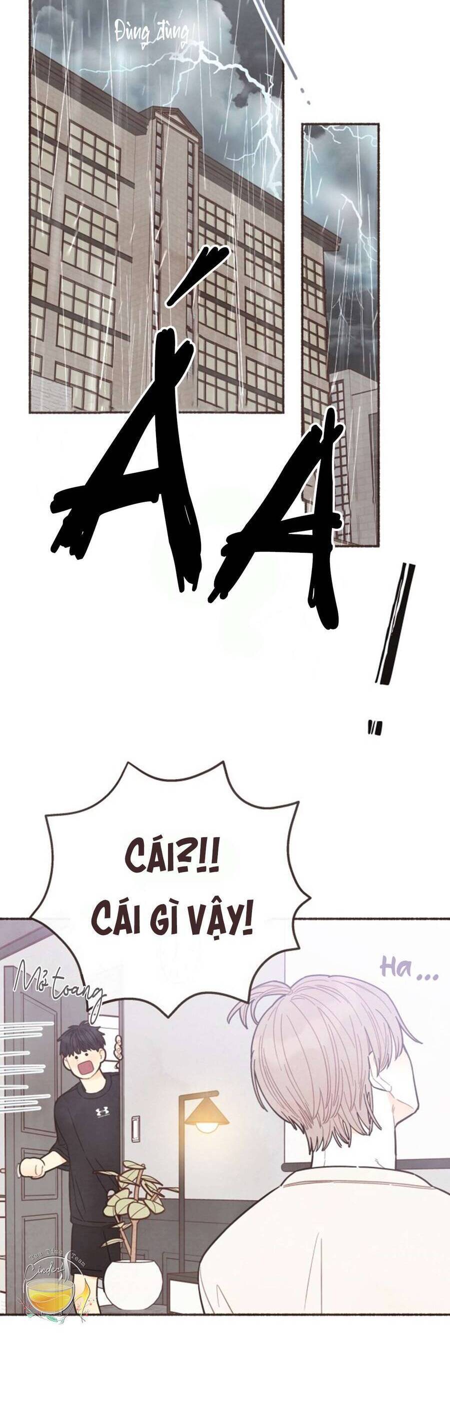Cảm Xúc Chuyển Giao - Chapter 12