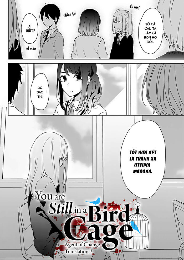 You Are Still In A Bird Cage - Chapter 1